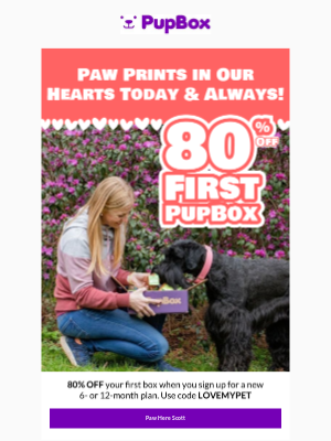 PupBox - ⚠️ Last Chance to SAVE 80% ❤️