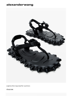 Alexander Wang - trap-studded summer: shoes & bags