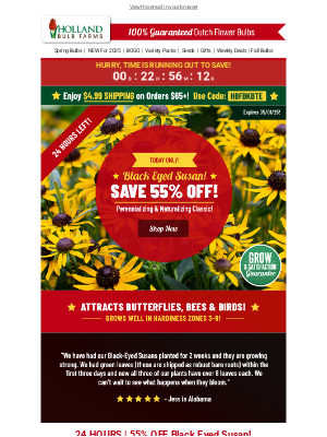 Holland Bulb Farms - KNOCKOUT SAVINGS 🥊 55% OFF Black Eyed Susan!