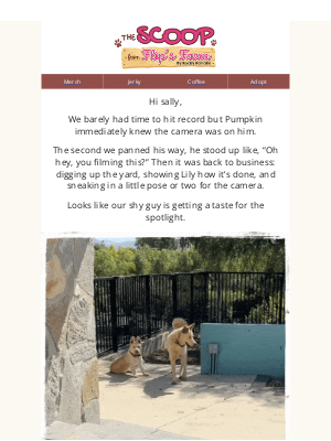 The Dog Bakery - 🎥 Pumpkin’s Ready for His Close-Up