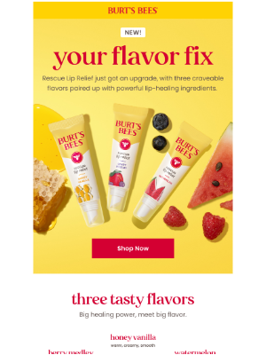 Burt's Bees - Heal dry lips with a sweet touch.