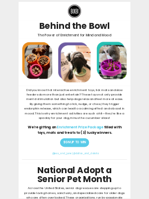 BIXBI Pet - ✨ Behind the Bowl: Enrichment Giveaway & Senior Pet Spotlights!