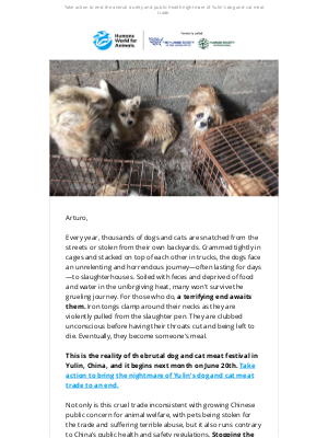 Humane Society of the United States - Yulin festival is approaching