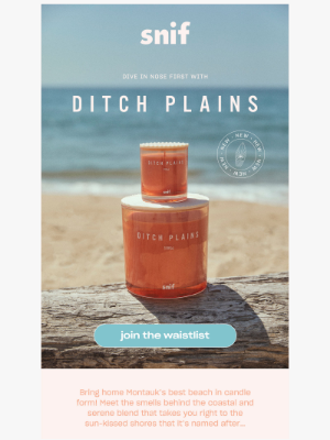 Snif - Smell the Sunshine with Ditch Plains.