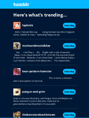 Tumblr - 5 good reasons to go dashwards