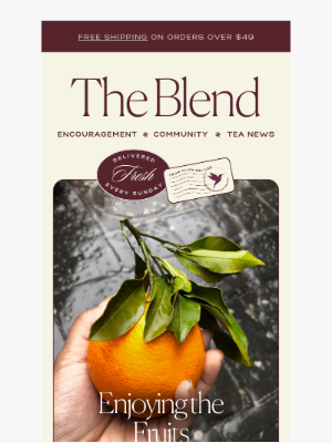 Plum Deluxe - The Blend:  Enjoying the Fruits 🍊