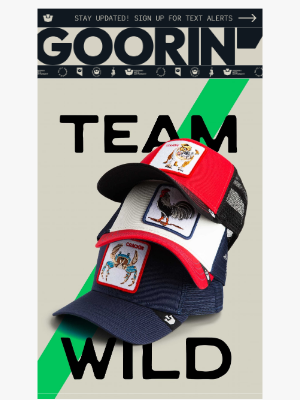 Goorin Bros. - Pick Your Animal. Join the Team Wild.