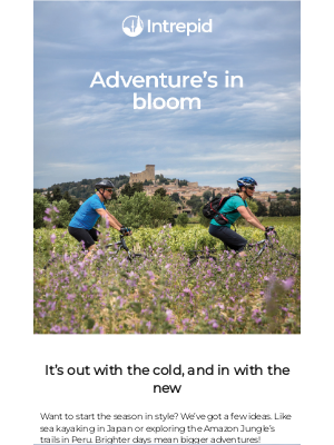 Intrepid Travel (India) - Spring into an adventure, Daniel