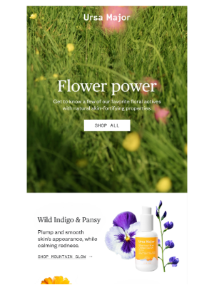 Ursa Major of VT - Meet our favorite floral actives
