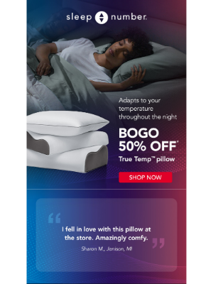 Sleep Number - Save on Temperature Balancing Pillows