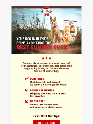 Primal Pet Foods - Unleash more adventures with these summer safety tips for your dog! 🐾