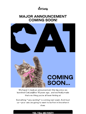 CatLadyBox - Are your cats ready? 😺