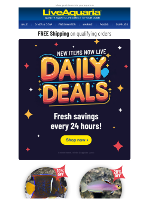 LiveAquaria - Flash Sale Today on exciting species!