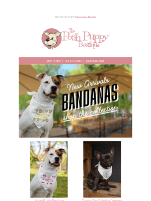 Posh Puppy Boutique - Discover Our Exclusive Bandanas! 🐾