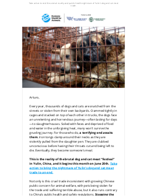 Humane Society of the United States - Take a stand against Yulin before June 20th