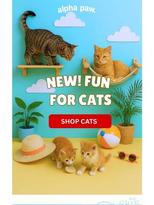 Alpha Paw - Got a Cat in Your Life? Meet Our New Kitty Playground!