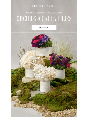 VenusETFleur - NEW: Orchids and Calla Lilies