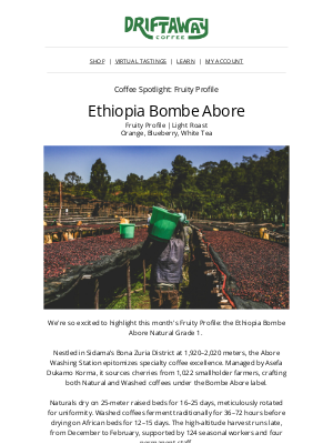 Driftaway - Ethiopia Bombe Abore 🇪🇹 + Brazil Vista Alegre Returns 🇧🇷☕