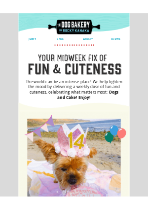 The Dog Bakery - 🎂 Send Cake, Not Cards