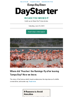 Tampa Bay Times - In case you missed it | Where did Peaches the flamingo go?