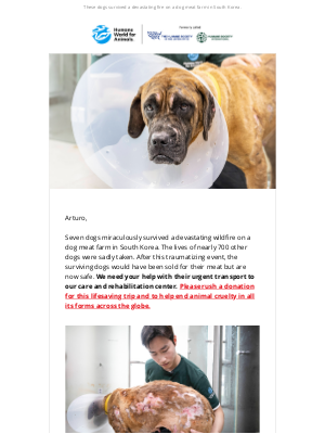 Humane Society of the United States - Emergency dog transport: Fire survivors
