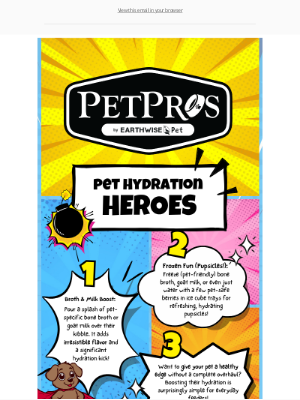 Simple Summer Hydration Heroes for Pets
