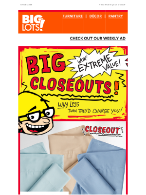 Big Lots - A Closeout a Day Keeps the Wallet Pains Away!