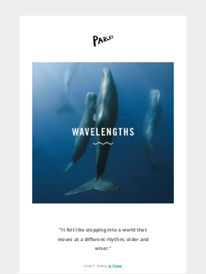 Parley - A photo journey into the dreamy world of whales 🐋