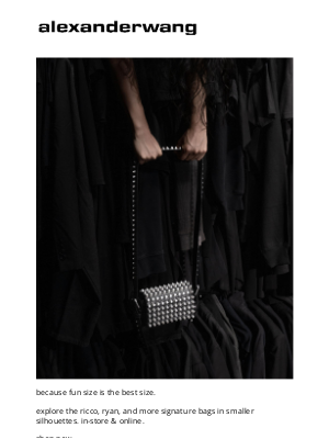 Alexander Wang - welcome to alexanderwang