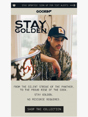Stay Golden. No Pedigree Required