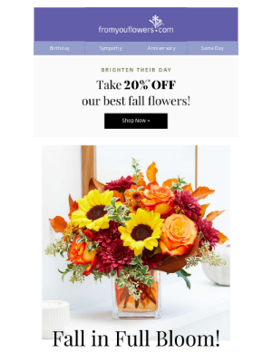 From You Flowers - 20% Off Fall Flowers!