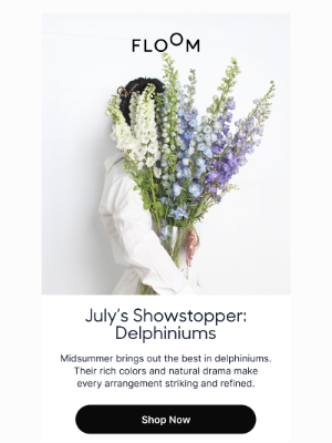FLOOM - Meet July’s Most Striking Bloom 🪻