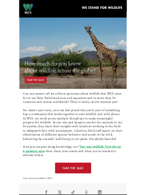 Wildlife Conservation Society - [QUIZ] Put your wildlife IQ to the test!