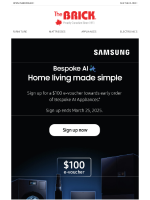 The Brick (Canada) - Sign Up and Save $100! Samsung Bespoke AI Appliances