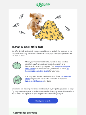 Rover.com - It’s fall y’all! Embrace the season with your dog 🍂