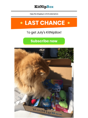 KitNipBox - MEOW OR NEVER: Last Day to Get the July Box! 💫😺