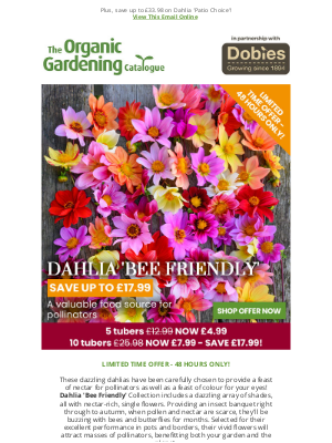 Organic Catalogue (United Kingdom) - 5 Bee-Friendly Dahlias £4.99