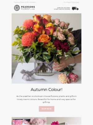 Pearsons Florist (Australia) - 🍂 Get an Autumn GLOW!