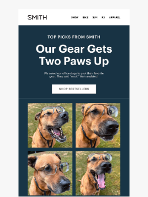 SMITH OPTICS - Gear So Good, Even Our Dogs Approved