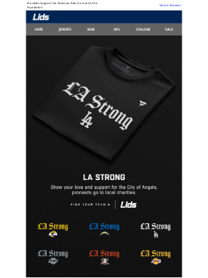 LIDS - Together for LA: Unite and Make an Impact with LA Strong