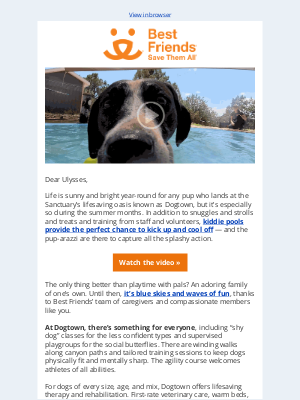 Best Friends Animal Society - Video: Meet summer’s splashiest pups 🐶