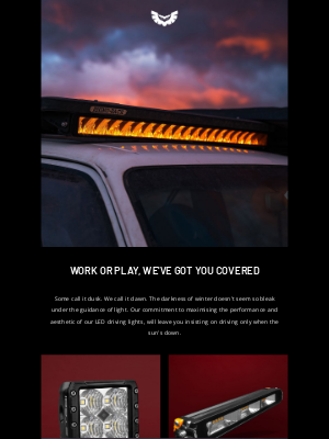 Work or Play, STEDI Has You Covered