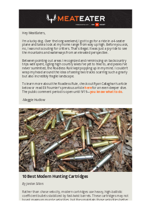MeatEater - 10 Best Modern Hunting Cartridges