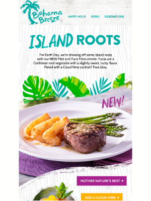 Bahama Breeze - New Dish, New Roots