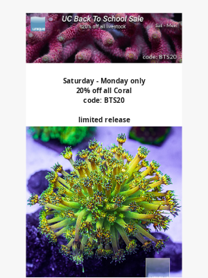 Uniquecorals - Back To School Sale UniqueCorals - 20% off all coral + Aussie LiveRock is here, limited supply