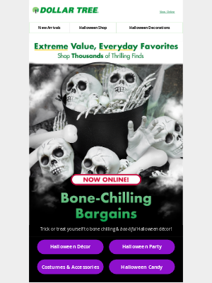 Dollar Tree - Bargains are brewing🧙