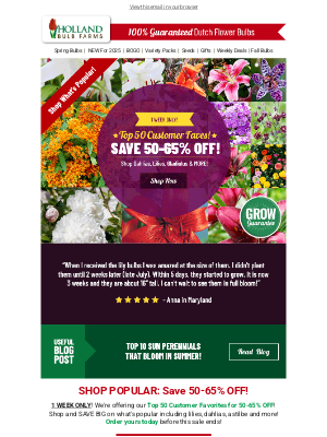 Holland Bulb Farms - READY, SET, GROW 🌞 50-65% OFF 50 Best Sellers!