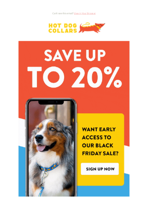Hot Dog Collars - 20% off could be yours!
