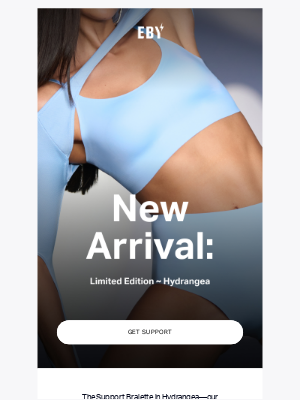 EBY - NEW: Support In Hydrangea