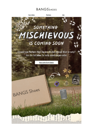 BANGS Shoes - Something Mischievous is Coming... 🦝